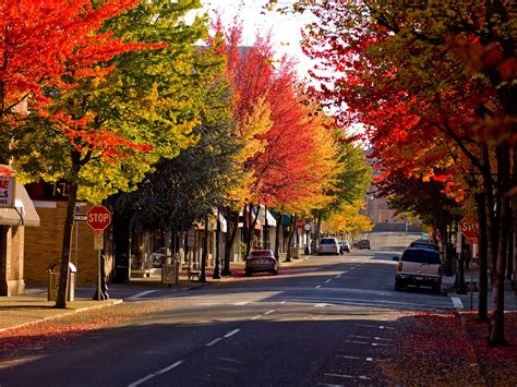 City <strong>Roseburg jobs</strong> in <strong>Roseburg</strong>, OR. . Roseburg jobs